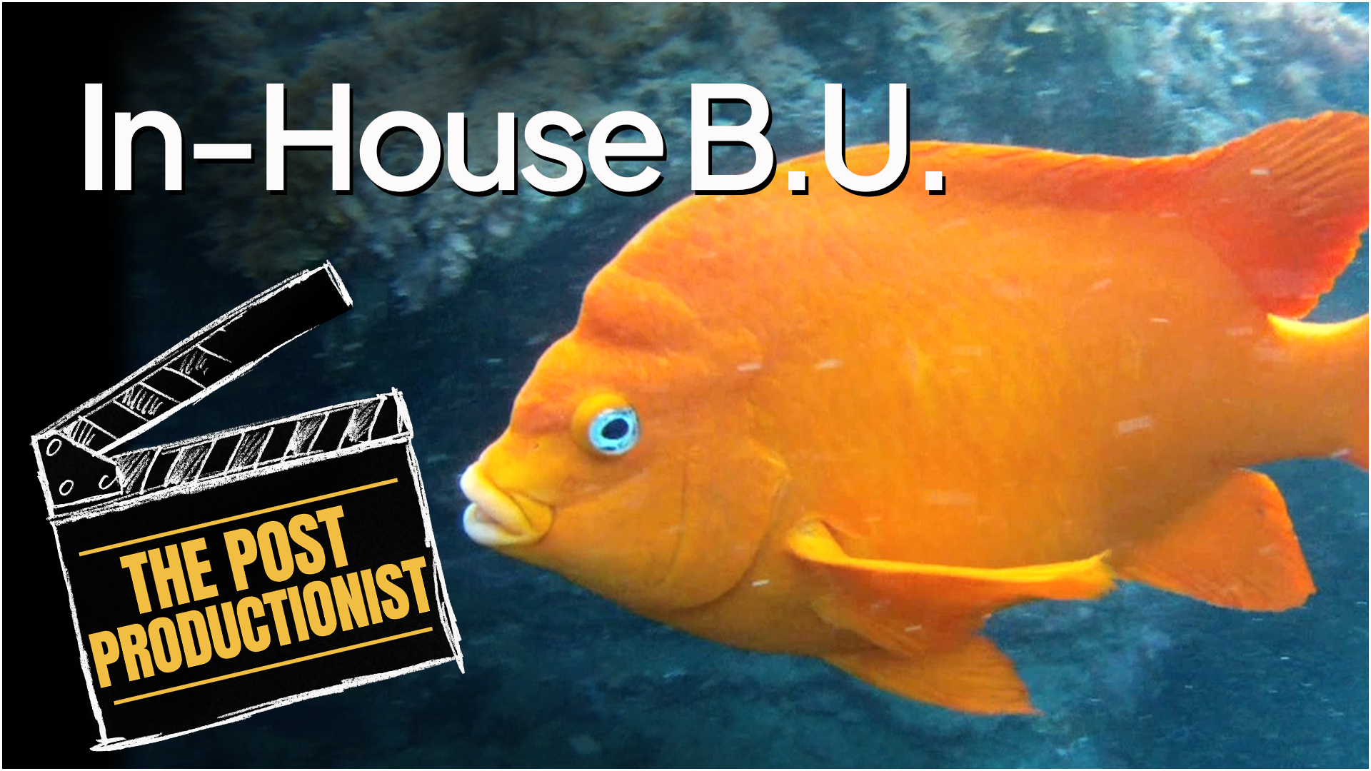 Post Production Services